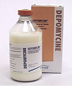 Depomycin 100 ml