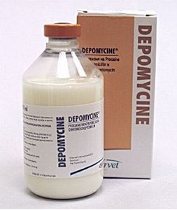 Depomycin 250 ml