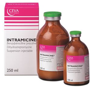Intramicine 100 ml