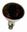 Picture of Infrared light bulb 150 W
