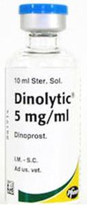 Dinolytic 10 ml