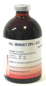 Pig ironject 20%+ B12 100 ml