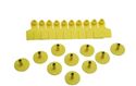 Picture of Medium Yellow ear tags