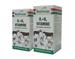 Vitamina B1+B6 20 ml