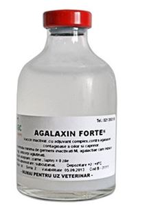 Agalaxin Forte 50 dz/fl 