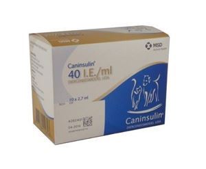 Caninsulin