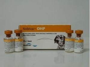 Nobivac DHP 10 doze liofilizat