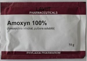 Amoxyn 100% 10 g
