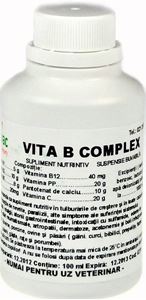 Vita B complex 100 ml