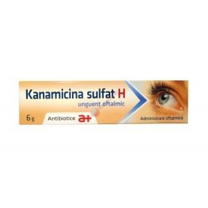 Kanamicina Sulfat H