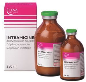 Intramicine 250 ml