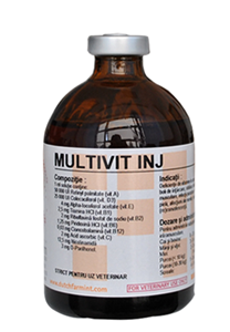 Multivitamin 100 ml