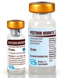 Pestorin Mormix 5 x 10 dz.