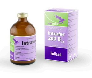 Picture of Intrafer 100 ml
