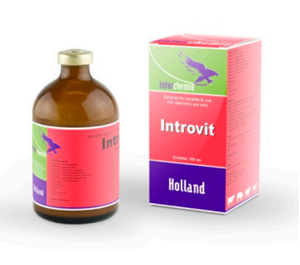 Picture of Introvit 100 ml