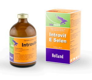 Introvit-E-Seleniu 100 ml