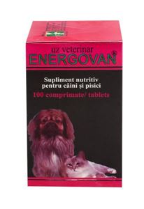 Picture of Energovan 500 mg 100 cp
