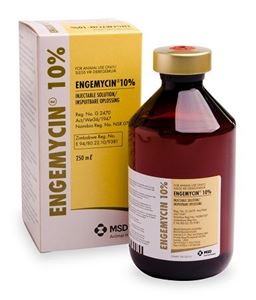 Engemycin 10% 100 ml
