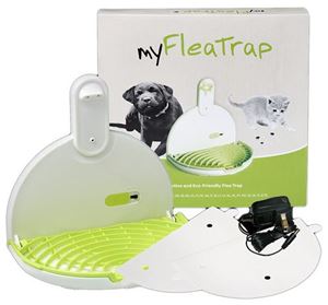 My Flea Trap