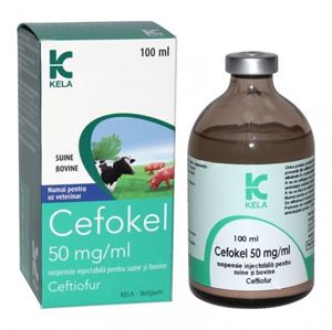 Cefokel 50 mg/ml 100 ml