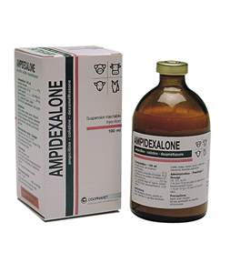 Ampidexalone 100 ml
