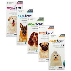 Picture of Bravecto 250 mg x 1 tbl-4.5-10 kg kutyaknak