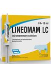 Picture of Lineomam LC 24*10 ml