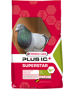 Picture of VL Pigeon feed Superstar Plus IC 20 kg