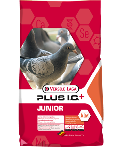 Picture of VL Pigeons feed Junior Plus IC 20 kg