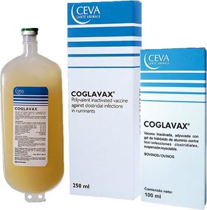 Coglavax 250 ml / 125 dz