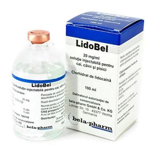 Picture of Lido Bel 100 ml 