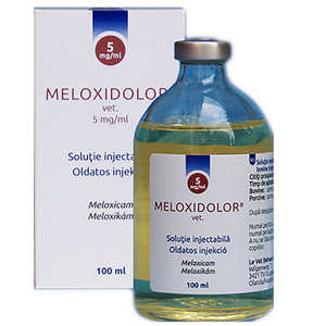 Meloxidolor 20 mg/ml 100 ml