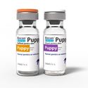 Picture of Biocan Novel Puppy