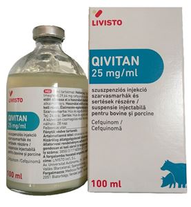 Qivitan 25 mg/ml 100 ml