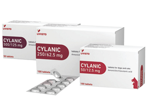 Cylanic 500 mg + 125 mg 