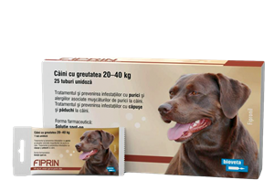 Fiprin 268 mg spot dog L 3 x 2,68 ml
