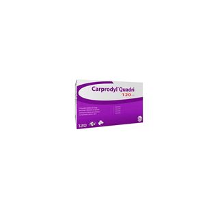 Carprodyl QD 120 mg 20x6 tab