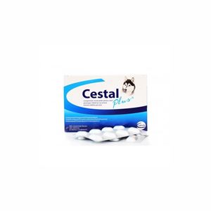 Picture of Cestal Plus 10 tbl