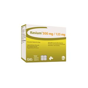 Kesium 500/125mg 40x6 tab